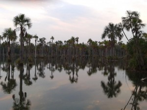 Lagoa das Araras