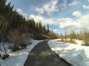 Um dos lindos parques de Whitehorse