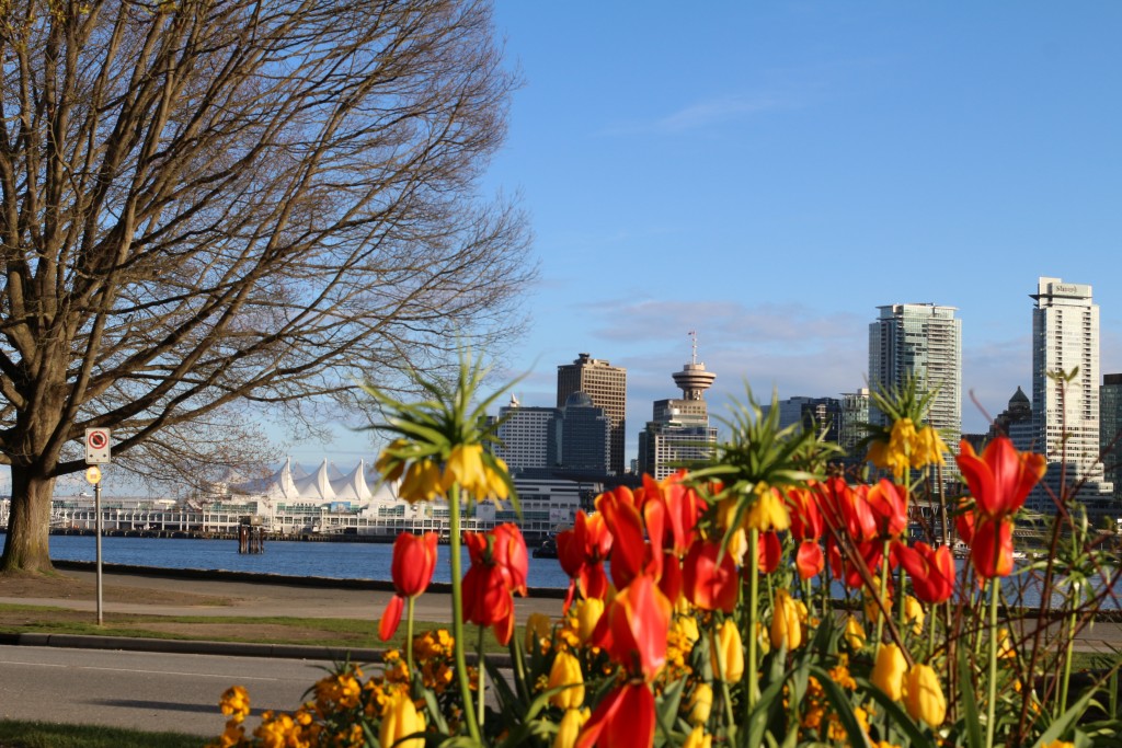 Vancouver vista do Stanley Park